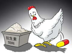 食品抗生素層出不窮，如何檢測？